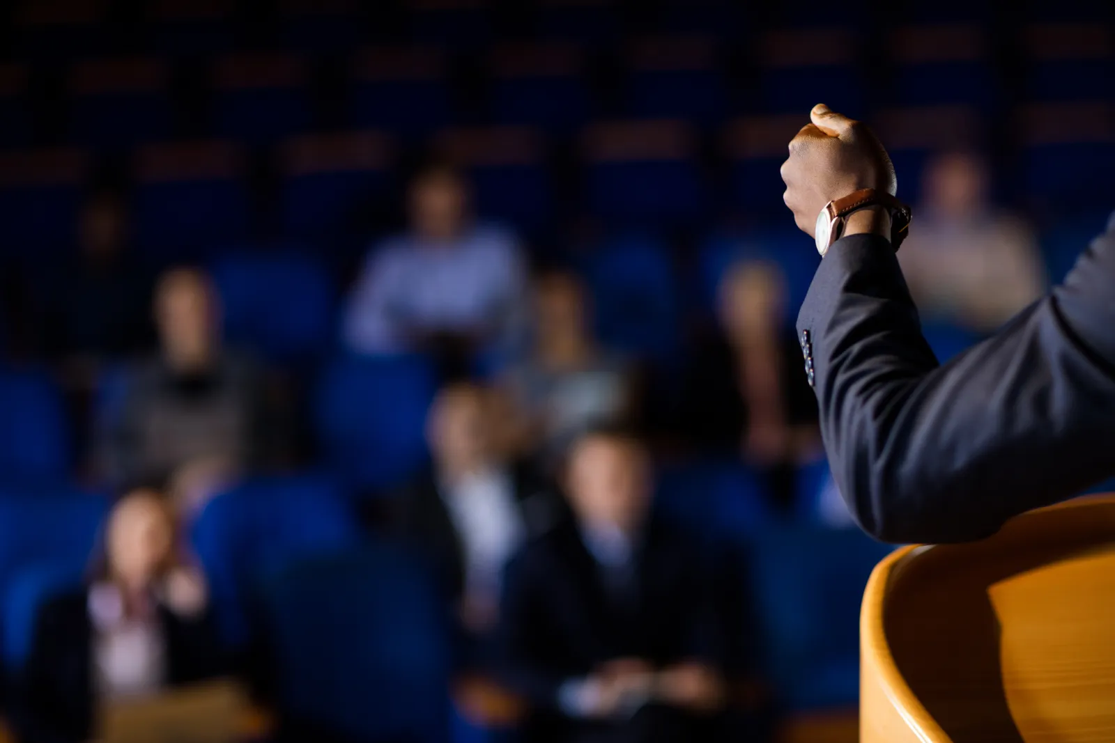 ConvegnoCatania Persona che presenta un argomento ad una platea di persone un argomento ad un convegno